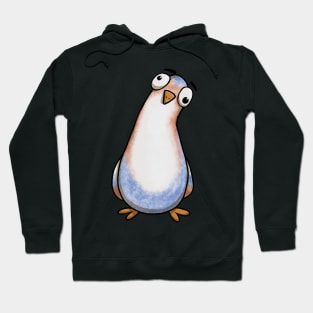 Curious Pigeon Stare Hoodie